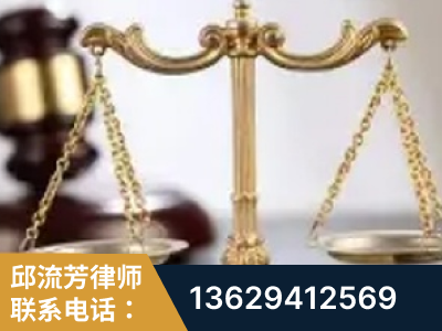 枝江-委托诉讼代理人出庭